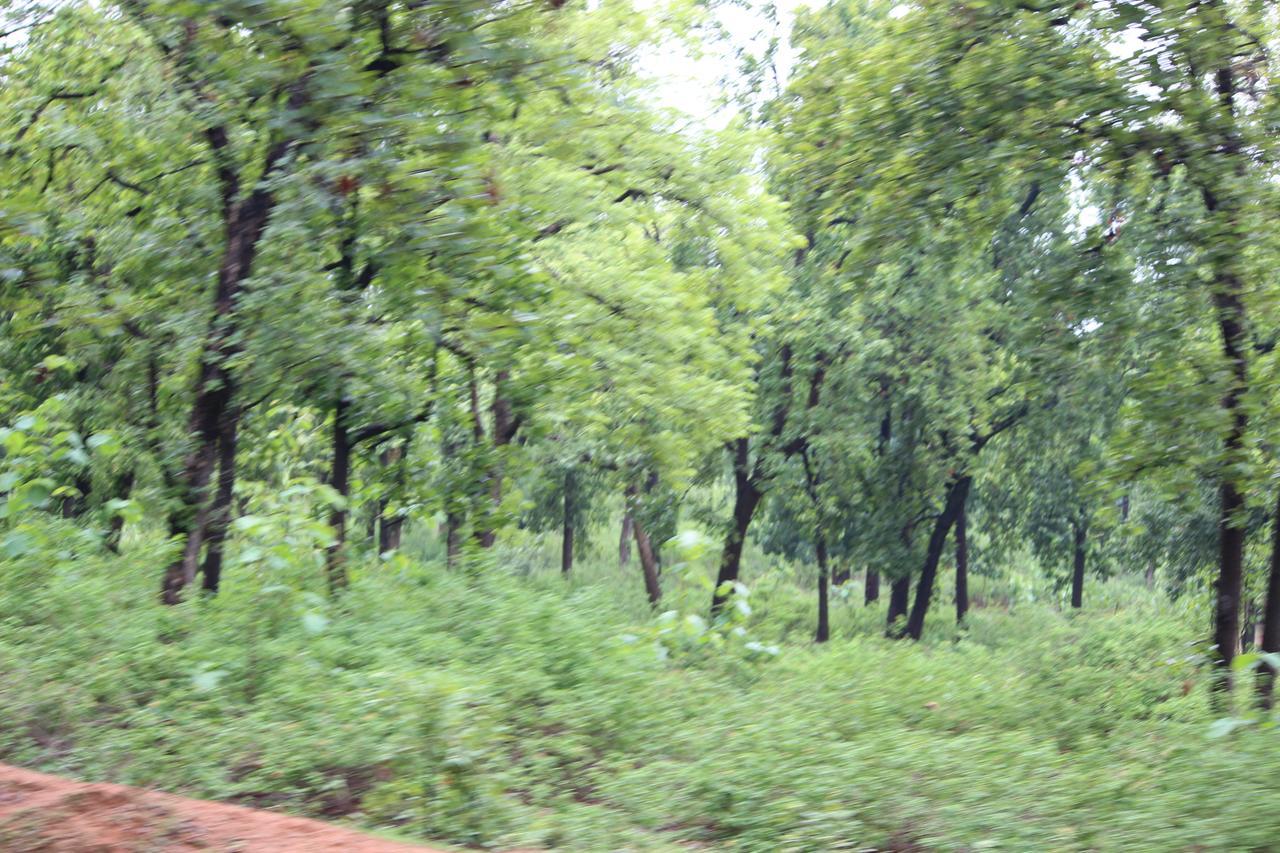 Bed and Breakfast The Residency Amarkantak Exterior foto
